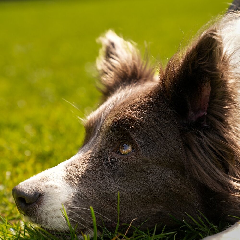 Meet your Posher, Vikky